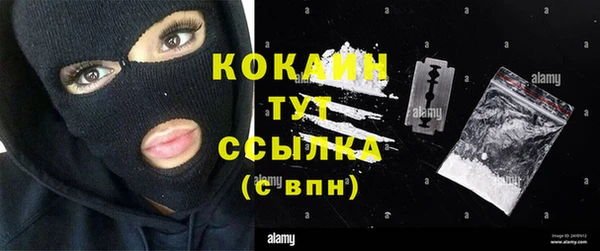apvp Кукмор