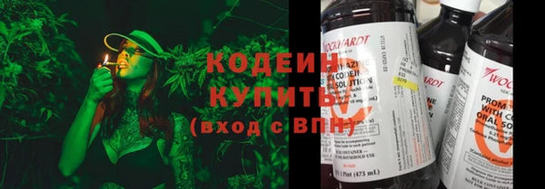 apvp Кукмор