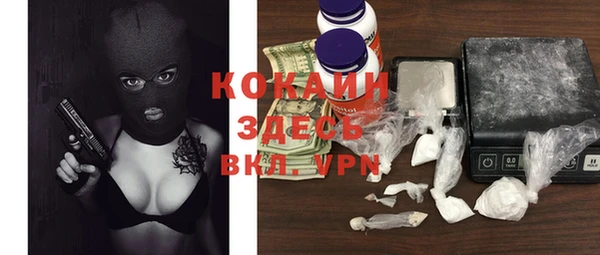 apvp Кукмор