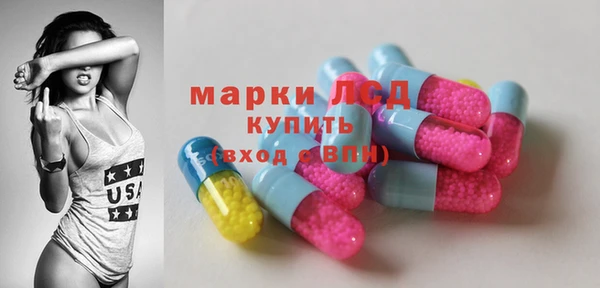 apvp Кукмор