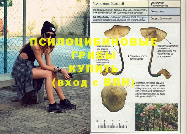 марки lsd Куйбышев
