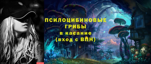 apvp Кукмор