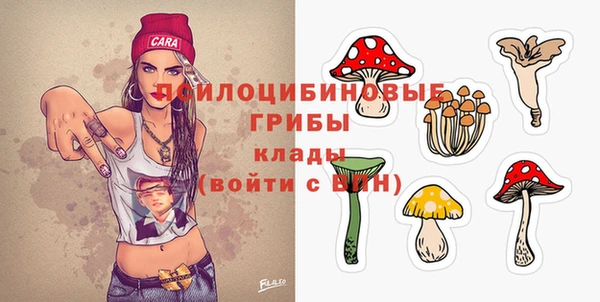 apvp Кукмор