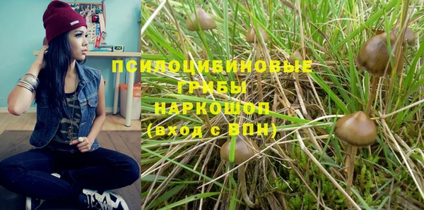 дмт Кулебаки